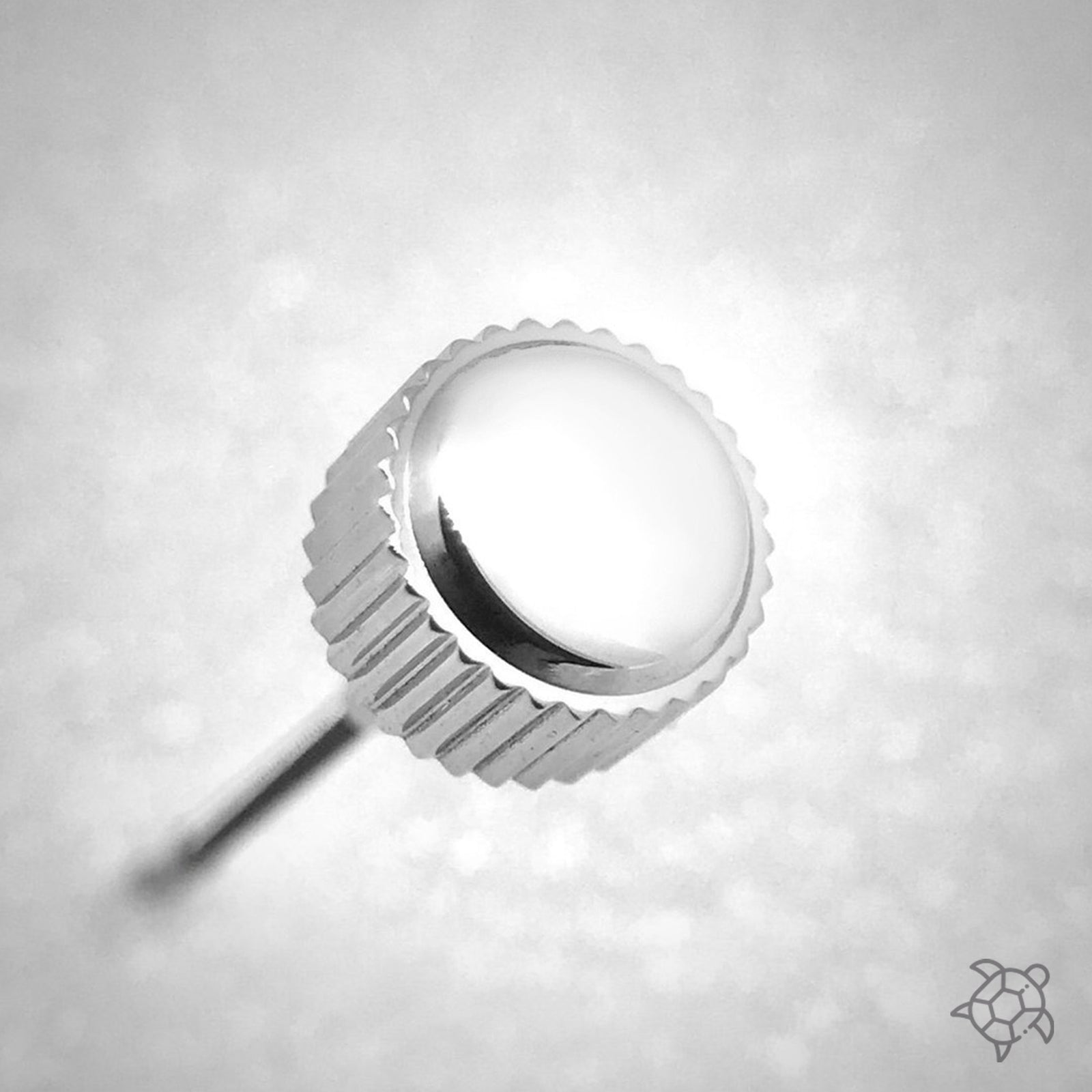 Crown - SRP Turtle - Polished Steel