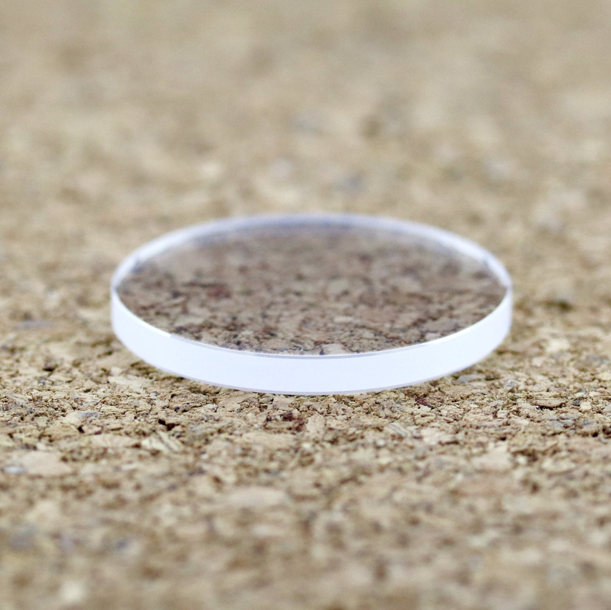 Sapphire Flat - SRP Turtle